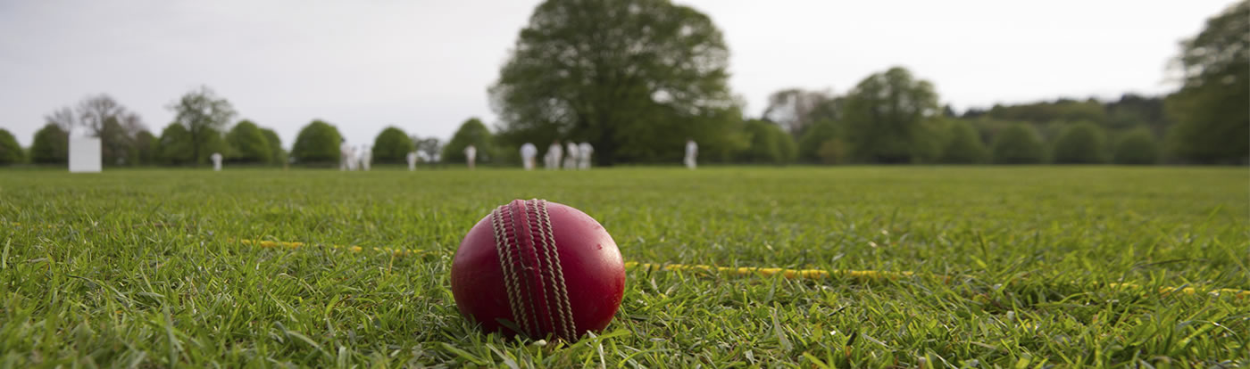 cricket banner